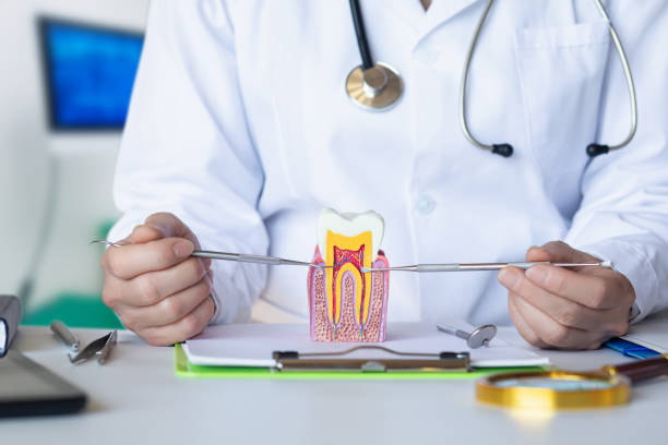 Best Knocked-Out Tooth Emergency  in Thompson, ND